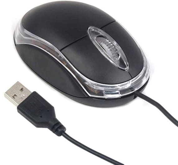 Brown box mouse